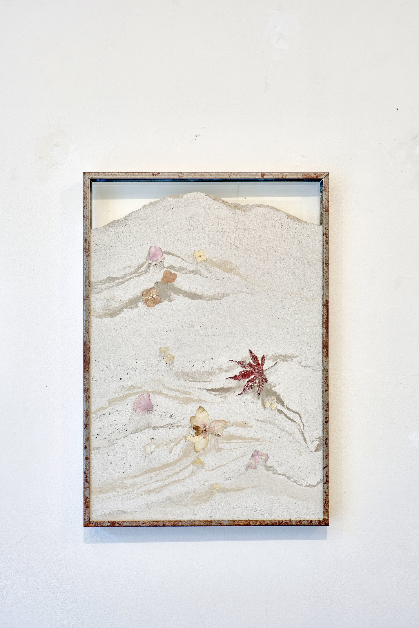 Maria Elisabetta Novello - Alberi