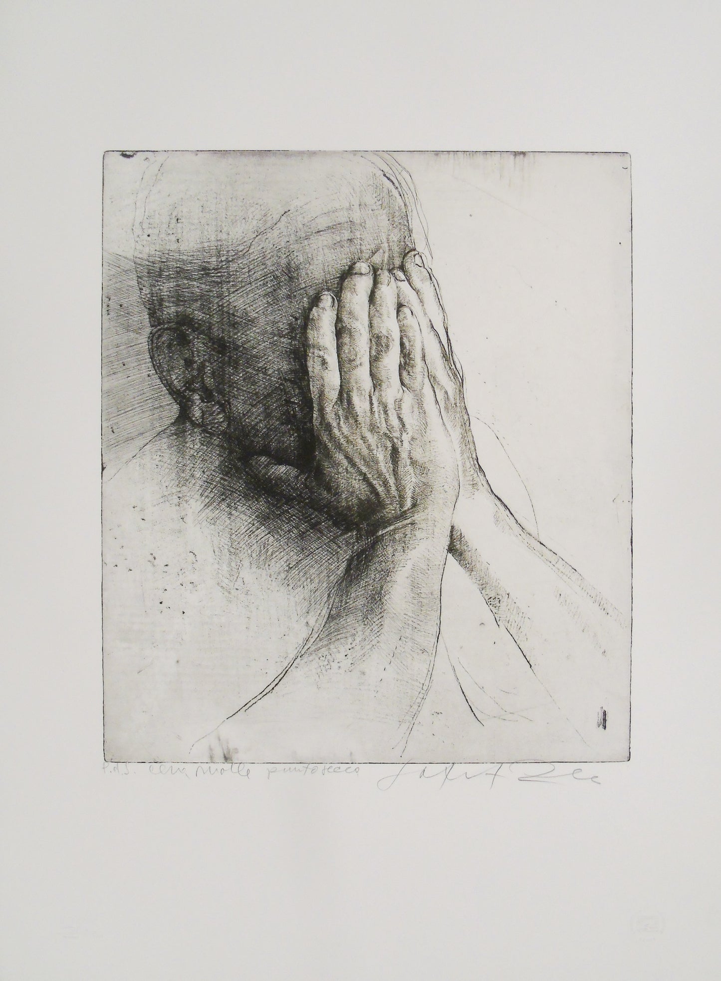 Safet Zec - Mani sul volto