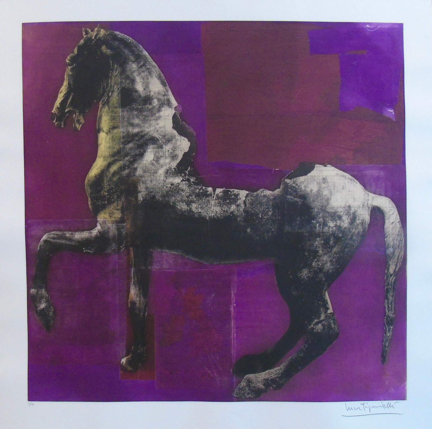 Luca Pignatelli - Cavallo