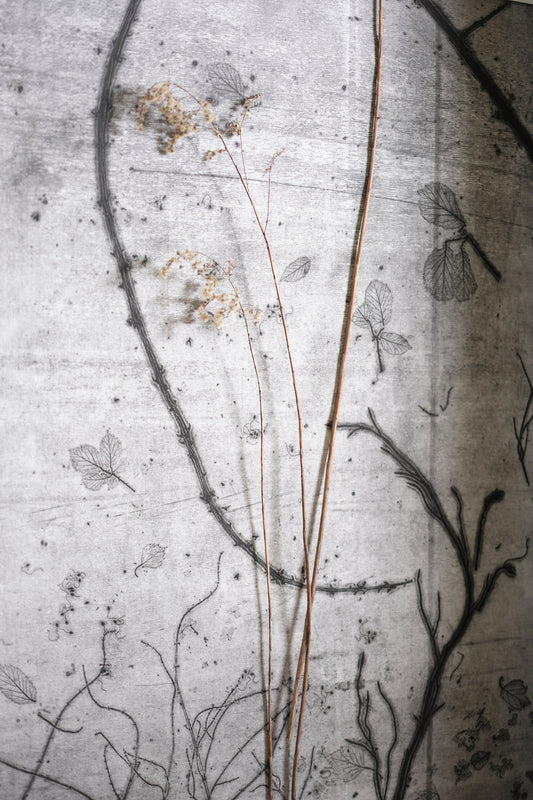 Maria Elisabetta Novello - Bioscritture