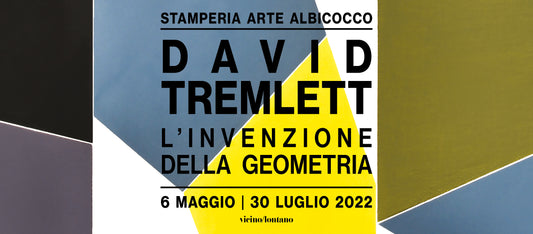 David Tremlett - L'invenzione della geometria
