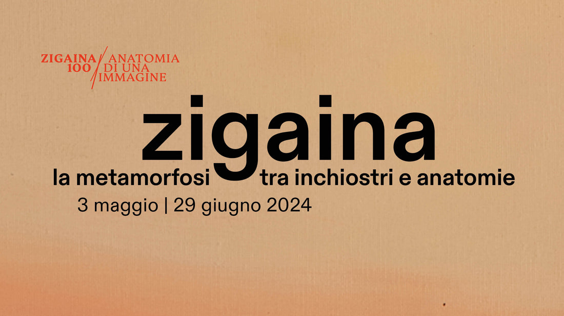 Giuseppe Zigaina - La metamorfosi tra inchiostri e anatomie