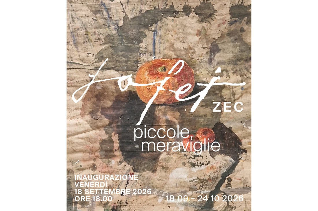 Safet Zec - Piccole, meraviglie