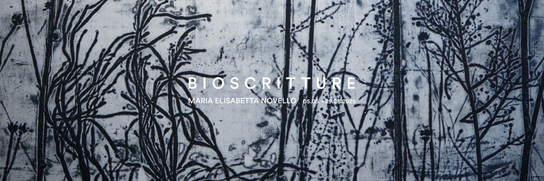 Maria Elisabetta Novello - Bioscritture