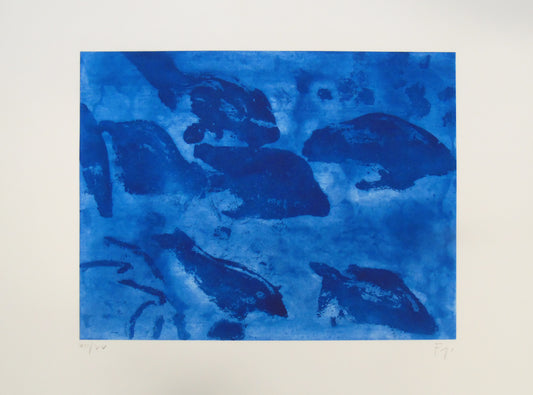 Giovanni Frangi - Subacqueo